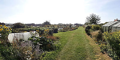 allotment operation