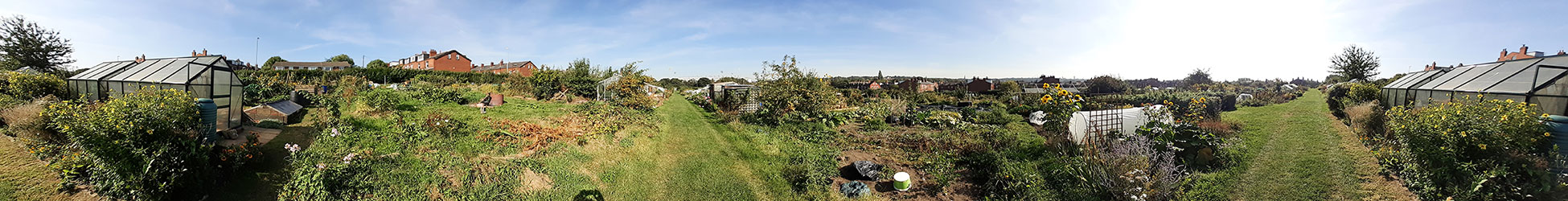 allotment operation