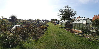 allotment operation