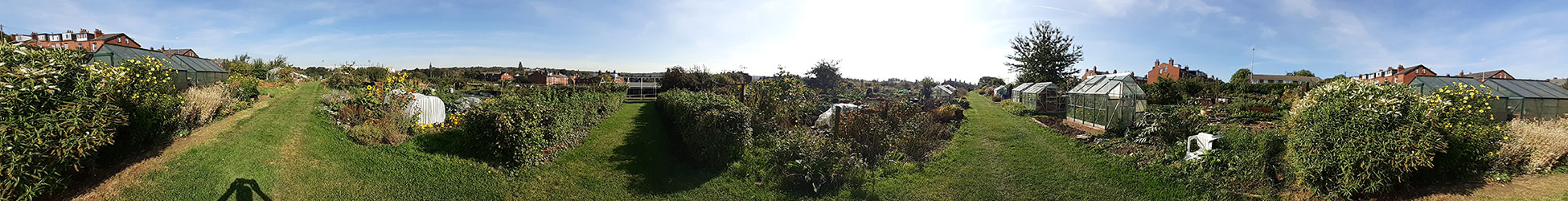 allotment operation