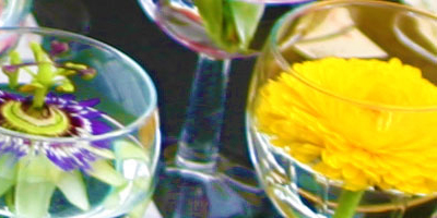annual show