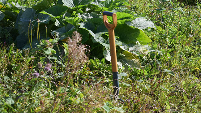 The Standwell Long Pattern Spade